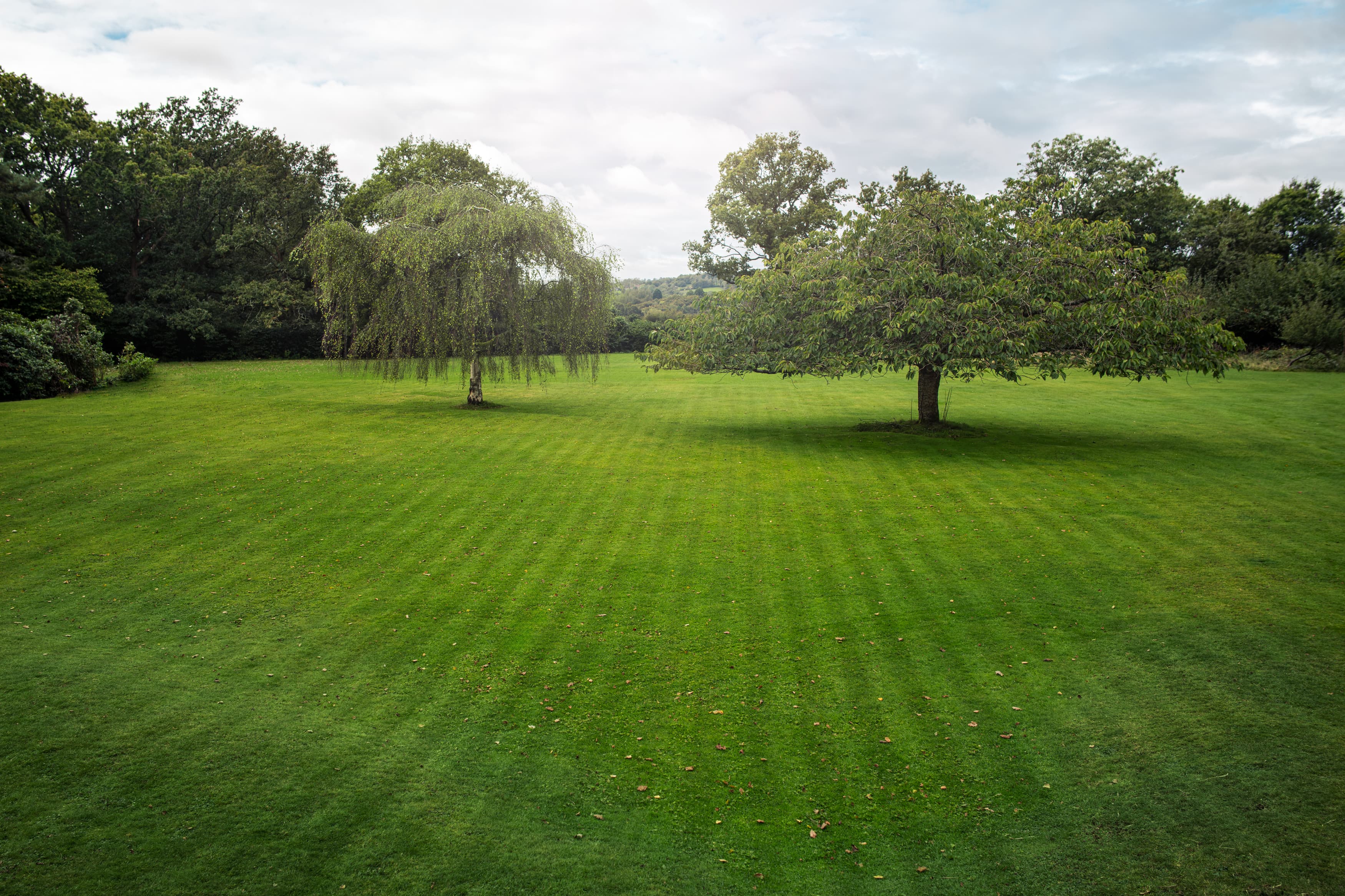 Improve the visual impression of the turf by changing the mowing pattern. With EPOS® technology, the mower can run in parallel lines and create a variety of patterns, such as diamonds, triangles and checkerboard. image